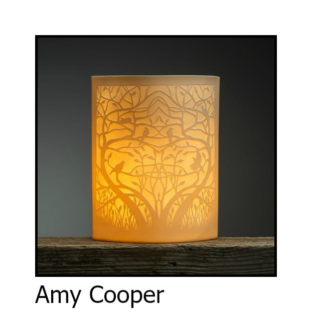 Amy Cooper