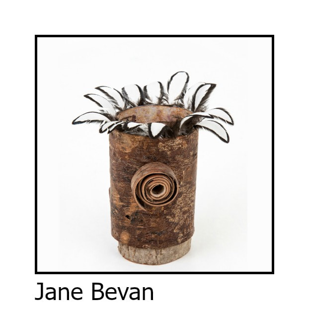 Jane Bevan