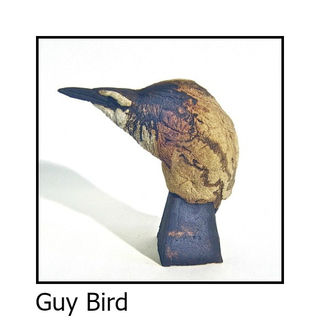Guy Bird
