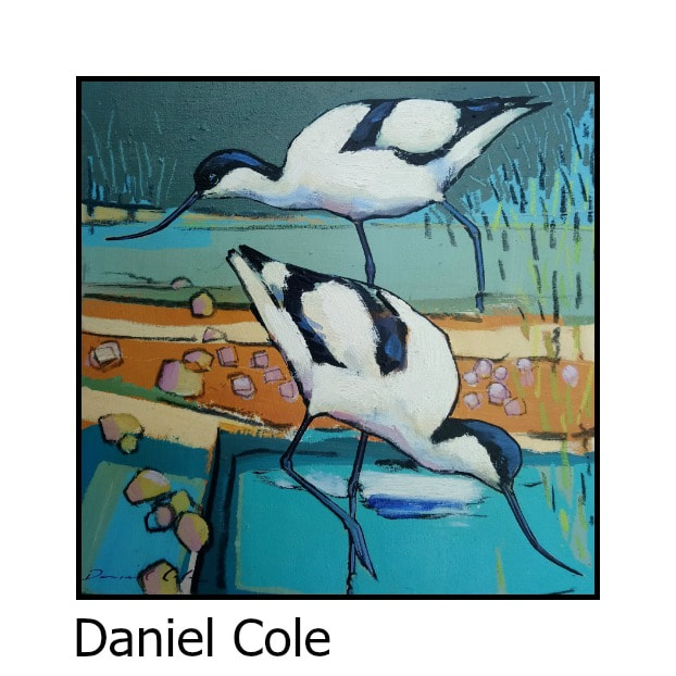 Daniel Cole