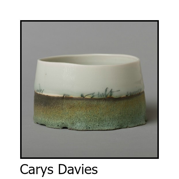 Carys Davies
