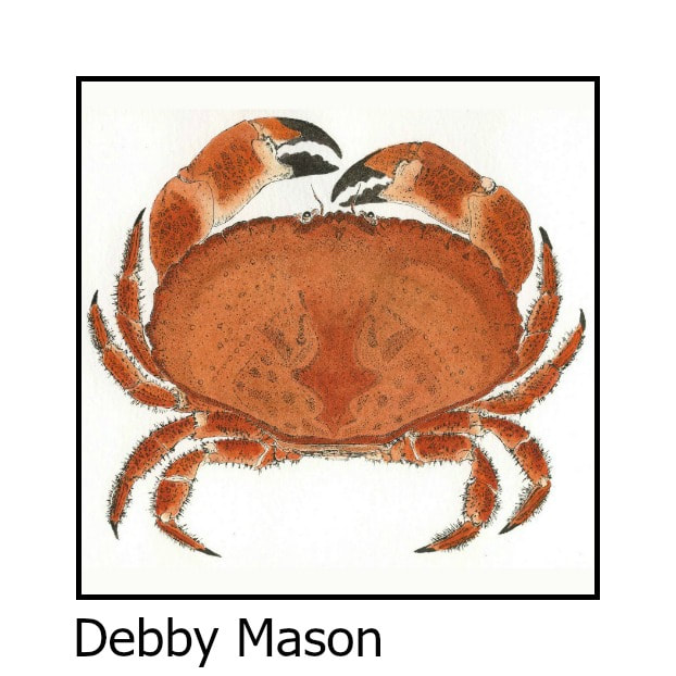 Debby Mason