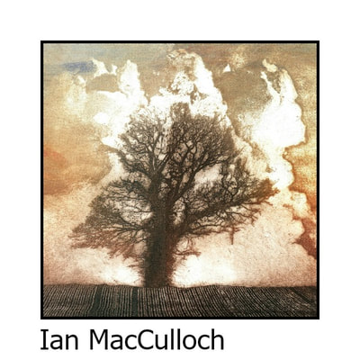 Ian MacCulloch