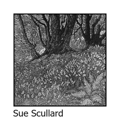 Sue Scullard