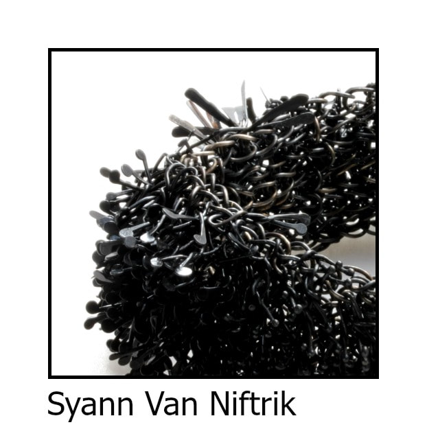 Syann Van Niftrik