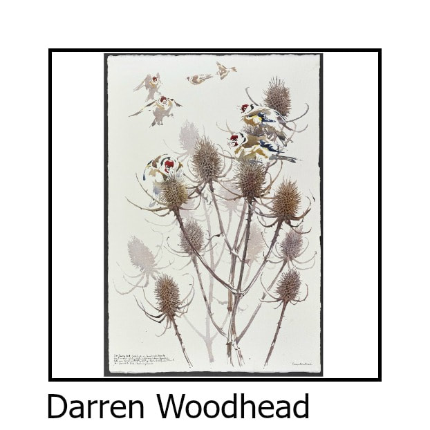 Darren Woodhead